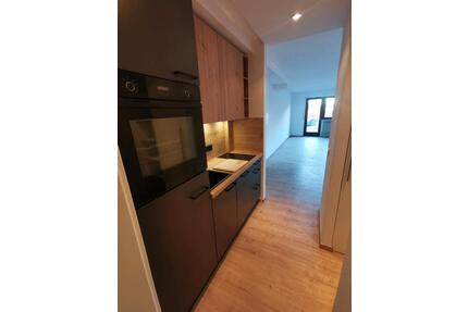 Erdgeschoss Appartment 44qm, renoviert, Küche Neu, nahe Uniklinik - Würzburg Lindleinsmühle