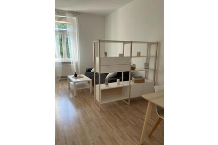 Möblierte Wohnung 65qm Freiburg Stühlinger Nähe Bahnhof - Freiburg im Breisgau Brühl