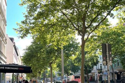 DIREKT AN DER KARL-HEINE-STR Möblierte 3-Zimmer-Whg in Plagwitz - Leipzig Altwest