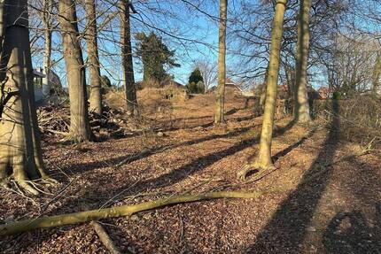 Erfüllen Sie sich Ihren Wohntraum - großes Baugrundstück in der Natur - Büchen