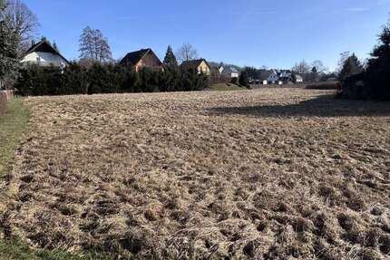 Grundstück zu verkaufen in LichtenbergErzgebirge 130.000,00 € 2845 m² - Lichtenberg/Erzgebirge