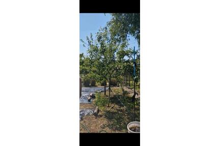 Pachtgarten - 4.500,00&nbsp;EUR Kaltmiete, ca.&nbsp; 20,00&nbsp;m&sup2; in Neustrelitz (PLZ: 17235)