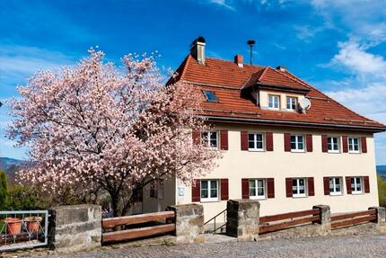 Großzügige 3-Zimmer-Wohnung mit traumhaftem Ausblick - Fürstenstein
