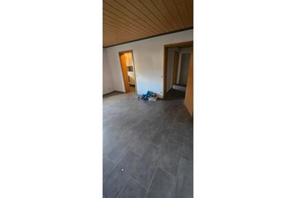 2 Zimmer Wohnung neu renoviert mit Küche - Neuhütten