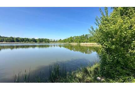 Pferdehaltung? Bauernhaus mit Scheune, Nebengebäuden und viel Land zu verkaufen! - Attenweiler Gutershofen