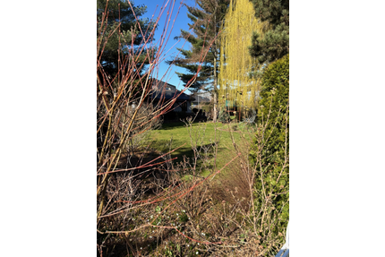 Grundstück zu verkaufen in Leipzig 210.000,00 € 450 m²