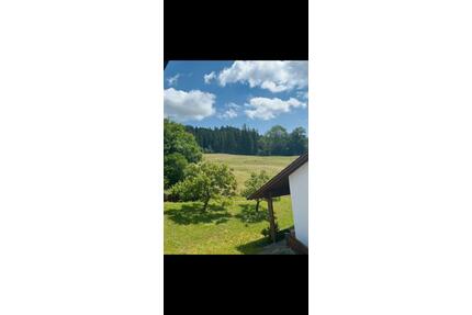 DG Wohnung zu vermieten - 1.400,00&nbsp;EUR Kaltmiete, ca.&nbsp; 100,00&nbsp;m&sup2; in Dietmannsried (PLZ: 87463)