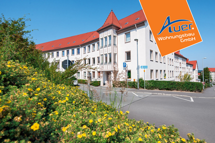 Wohnung zum Mieten in Aue-Bad Schlema 384,66 € 64.11 m²