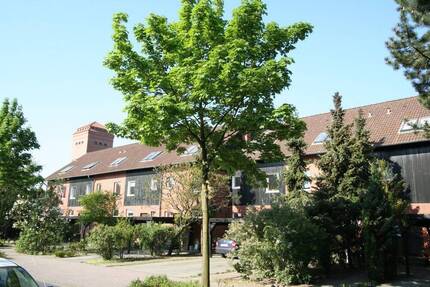 Citynahes Reihenhaus mit pflegeleichtem Garten! - Burgdorf
