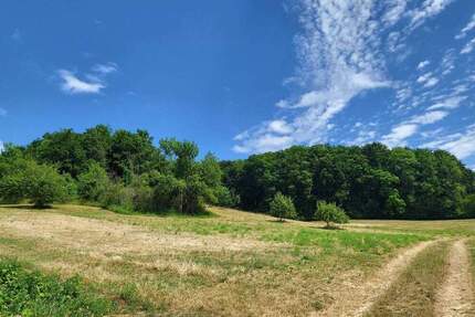 Wald und Ackerfläche zu verkaufen - Meinhard Eschwege