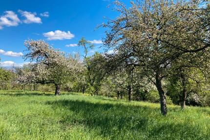 Baumgrundstück Landkreis Ludwigsburg - Korntal-Münchingen