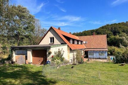 Alleinlage ohne Nachbarn. Pferde & Co. 12000m2. PRIVAT - Delligsen