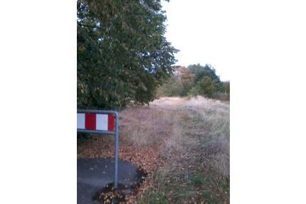 Kapitalanlage! Baugrundstück mit guter Anbindung an die B482 - Rehburg-Loccum