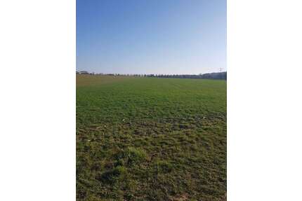 Grundstück in Leinfelden-Echterdingen 39.500,00 € 1260 m²