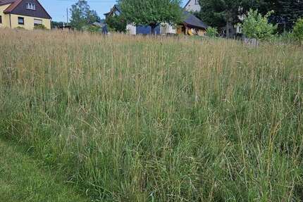 Grundstück zu verkaufen in Sohland 39.000,00 € 3700 m²