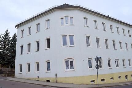 Schöne und helle 3 Raumwohnung! - Waldheim