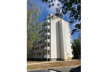 Wohnung zum Mieten in Döbeln 217,00 € 27.36 m²