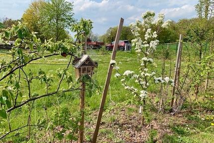 Großer Garten mit Plesseblick - 100,00&nbsp;EUR Kaltmiete, ca.&nbsp; 0,00&nbsp;m&sup2; in Bovenden (PLZ: 37120)
