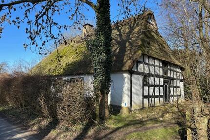 Reetdachkate zu vermieten Schleinähe - Taarstedt