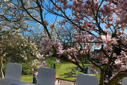 Serviced Apartment zu vermieten - Butjadingen