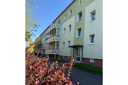 Balkonblick ins Grüne - 335,00&nbsp;EUR Kaltmiete, ca.&nbsp; 50,84&nbsp;m&sup2; in Wilkau-Haßlau (PLZ: 08112)