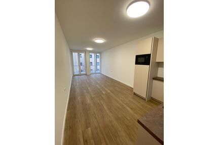 40 qm Studio in Pforzheim-Mitte zu vermieten mit Garagenstellplatz und Balkon
