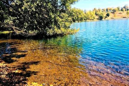 WE noch frei! Großes Ferienhaus im Mittelpunkt der Eifelmaare - Solingen