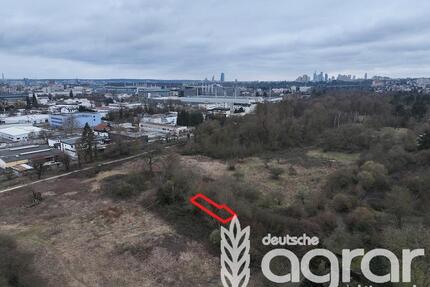 Überwucherte Grünfläche (ca. 118 m²) in Frankfurt am Main Seckbach