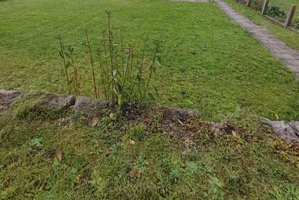 Grundstück zu verkaufen in Grenzach-Wyhlen 389.000,00 € 517 m²