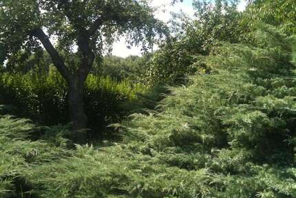 Haus zum Kaufen in Hönow 521.200,00 € 126 m²