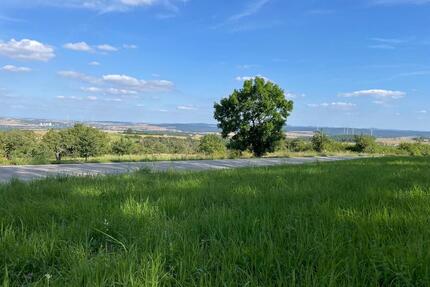 wiesengrundstück , freizeitgrundstück - Dannenfels