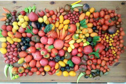 Kleingarten - 1.200,00&nbsp;EUR Kaltmiete, ca.&nbsp; 0,00&nbsp;m&sup2; in Bleicherode (PLZ: 99752)