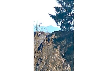 4 Zimmer Maisonette Wohnung mit Weitblick in Wolfschlugen