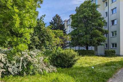 Wohnung zum Mieten in Freiberg 427,00 € 57.07 m²