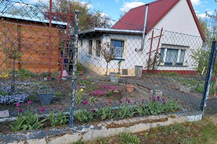 Pachtgarten in Kleingartenanlage - Eisenhüttenstadt