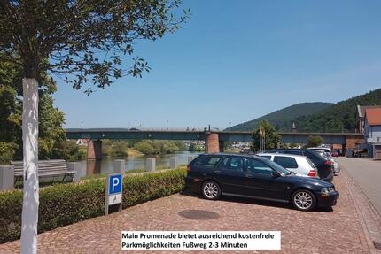 Einfamilienhaus mit 4 Zimmern 1 Badezimmer und Küche in Main Näh - Freudenberg