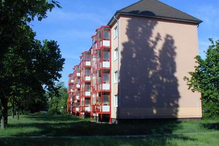 Wohnung zum Mieten in Senftenberg 315,00 € 61.7 m²