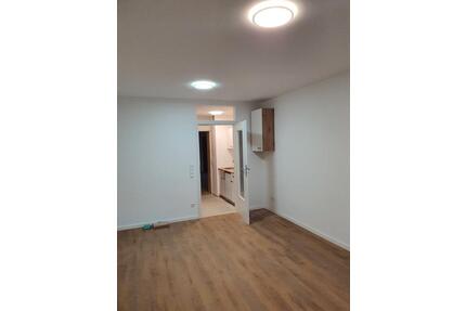 1 Zi. NEU Sanierte Wohnung+Balkon+EBK-Max Eyth See - Stuttgart Mühlhausen