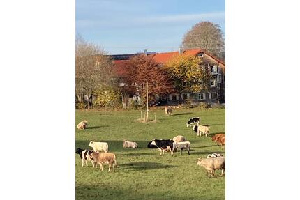 Ferienzimmer nahe Öschlesee - 40,00&nbsp;EUR Kaltmiete, ca.&nbsp; 25,00&nbsp;m&sup2; in Kempten (Allgäu) (PLZ: 87437) Auf dem Lindenberg