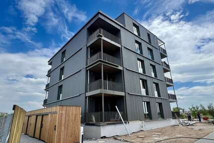 Wohnung zum Mieten in Mannheim 1.200,00 € 66.7 m²
