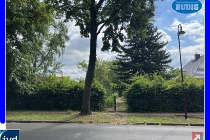 Großes Baugrundstück mit übergangsweise nutzbarem Kleinhaus - Neuenhagen