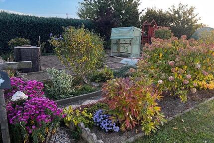 Garten in kleiner Kleingartenanlage - Dippoldiswalde