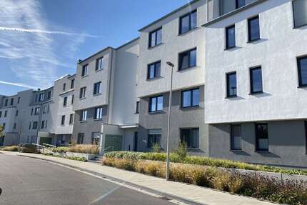 Wohnung zum Mieten in Bonn 1.440,00 € 116.13 m²
