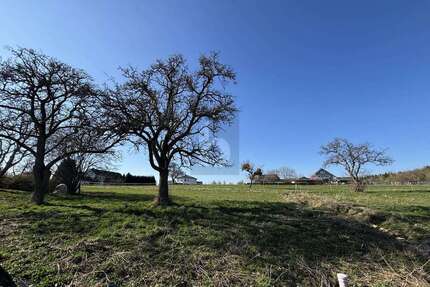 Grundstück zu verkaufen in Oberöfflingen 49.000,00 € 656 m²