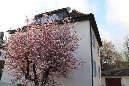 Wohnung zum Mieten in Stuttgart 800,00 € 58 m²