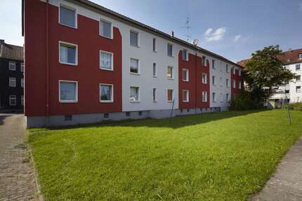 Wohnung zum Mieten in Gelsenkirchen 300,00 € 43 m²