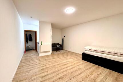 Renovierte 1 Zimmer Wohnung mit Pantryküche in Friesenheim - Ludwigshafen am Rhein Ludwigshafen-Hemshof