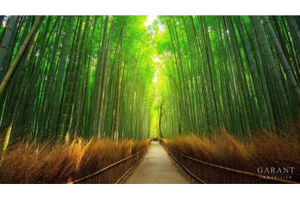 Großes Baugrundstück in Karlsruhe