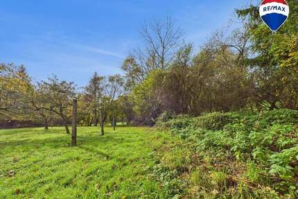 Großes Grundstück in traumhafter Lage von Ballweiler (Wecklingen) - Natur & jede Menge Möglichkeiten - Blieskastel / Ballweiler
