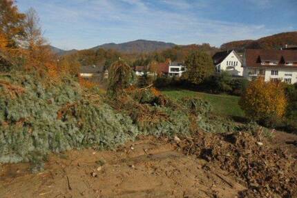 Doppelhaushälfte in erstklassiger Wohnlage - Schopfheim